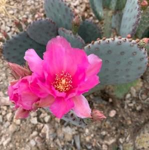 Meet your Posher, Kati